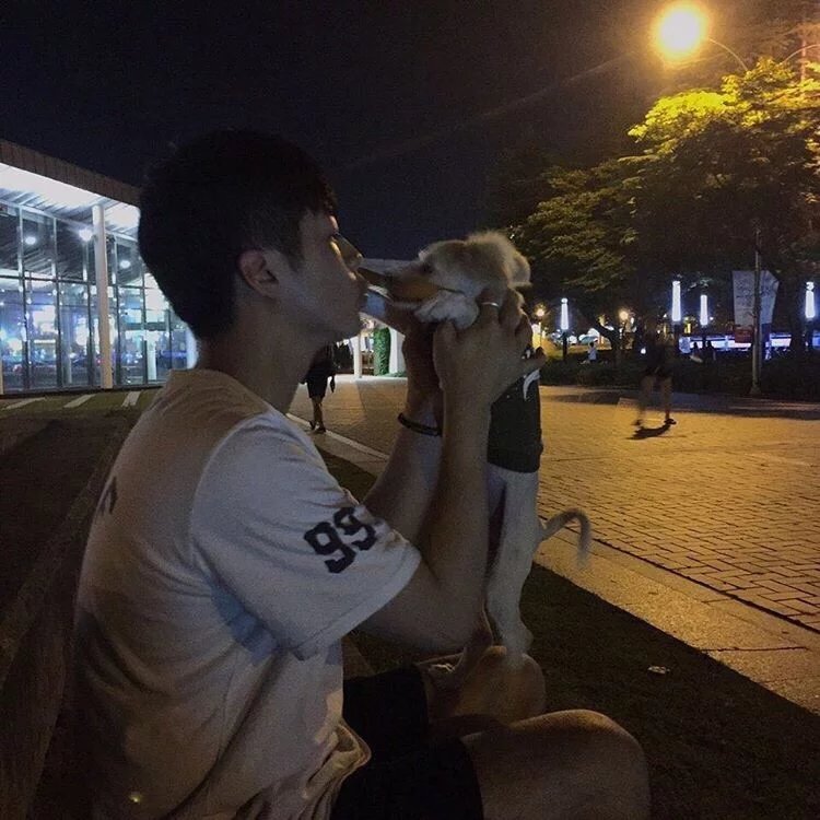 郑烟彩星