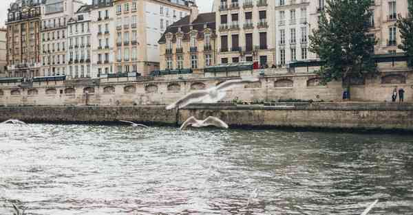 用chatgpt写实习报告