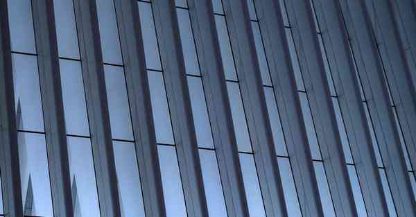 全自动智能宠物机器人 宠物机器人COZMO