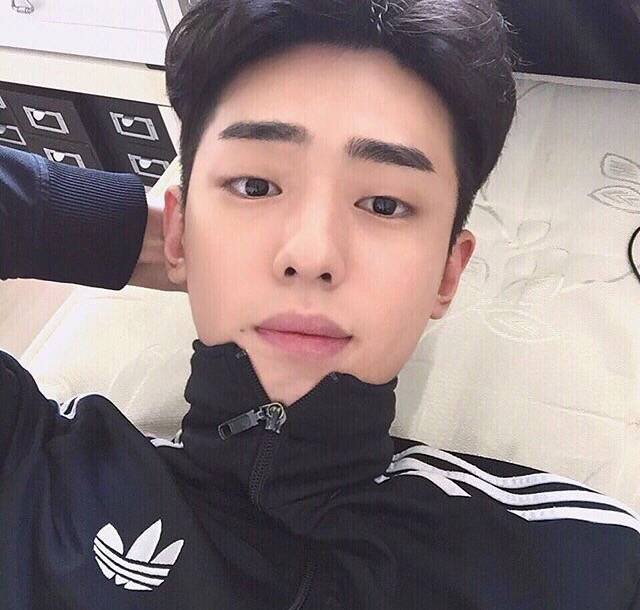郭媛浩健