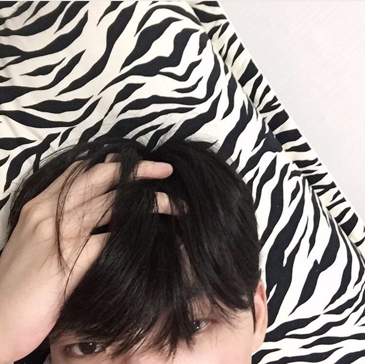 景妮成轮