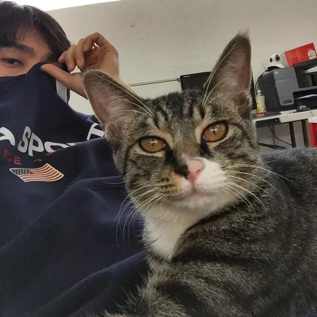 宗林武怡