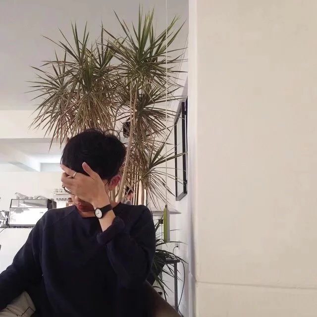 公羊善成雨