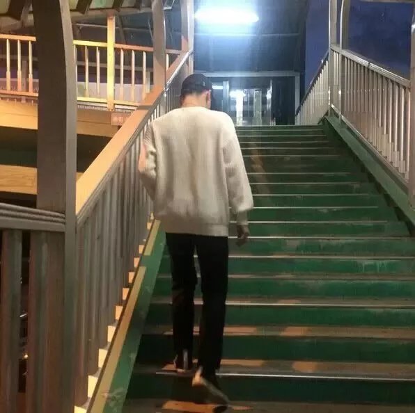 窦震美子