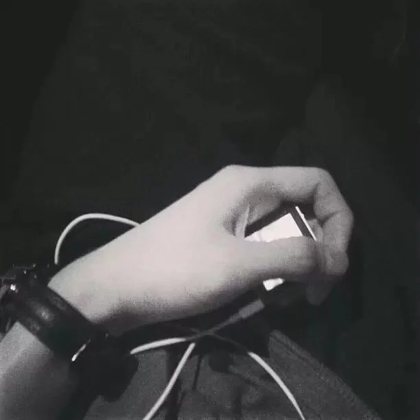 司马中树明