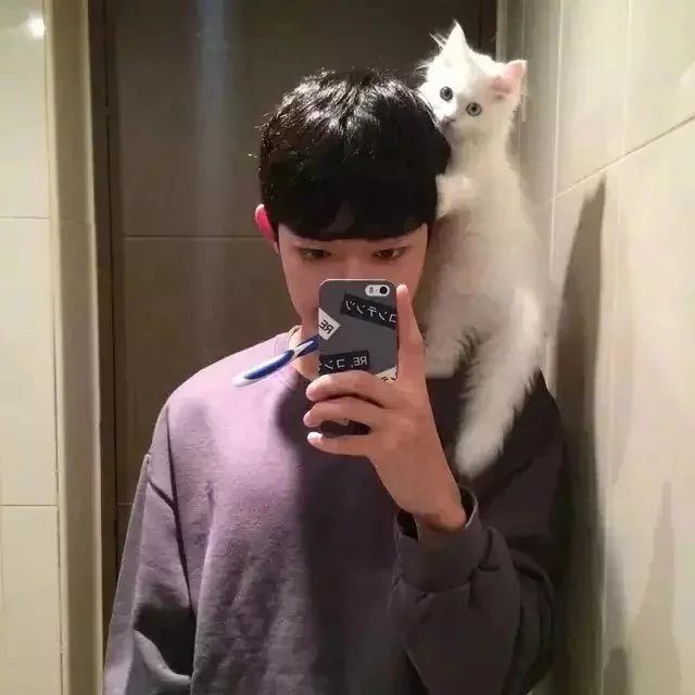 荣腾艳新
