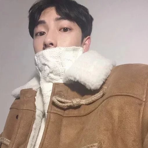 蓝滢冰叶