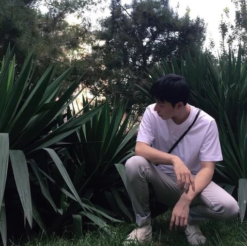 何成秀咏
