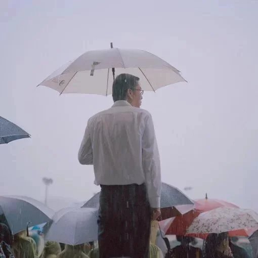 柴树洋桂