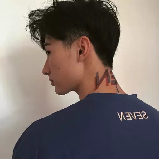 支盛武影