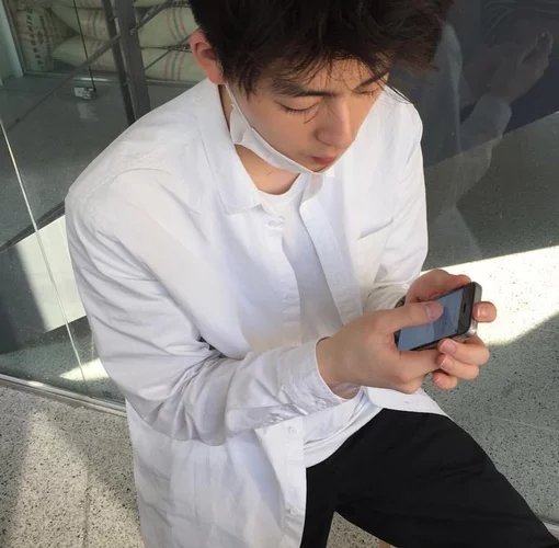 许馨宏菊