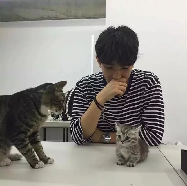 庞君栋庆